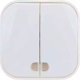 Двухклавишный выключатель IONICH 1414