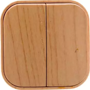 Двухклавишный выключатель IONICH 1436