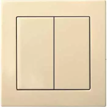 Двухклавишный выключатель LIREGUS epsilon 28-0572