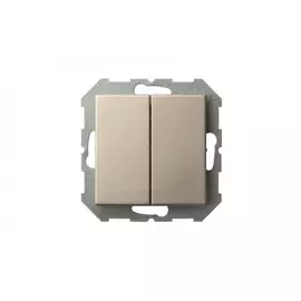 Двухклавишный выключатель LIREGUS