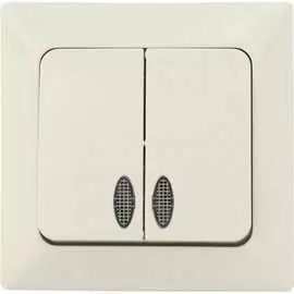 Двухклавишный выключатель NE-AD Aras 93-111-03I