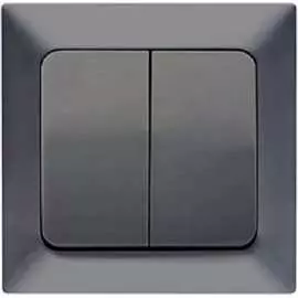 Двухклавишный выключатель NE-AD Aras 93-121-03