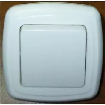 Двухклавишный выключатель ООО Ливны-Электро С2-006 УХЛ 4 ВСП 16