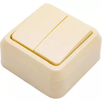 Двухклавишный выключатель ООО Ливны-Электро