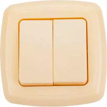 Двухклавишный выключатель ООО Ливны-Электро