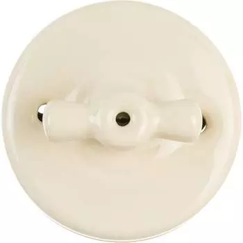 Двухклавишный выключатель Retrika