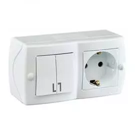Двухклавишный выключатель-розетка MONO ELECTRIC