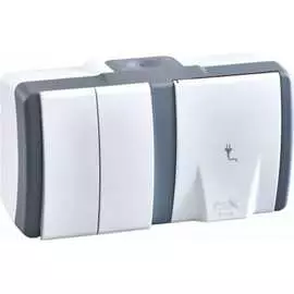 Двухклавишный выключатель-розетка MONO ELECTRIC