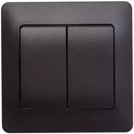 Двухклавишный выключатель Systeme Electric Glossa GSL000852
