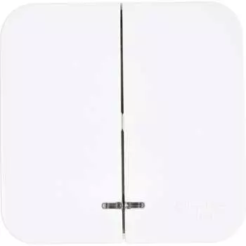 Двухклавишный выключатель Systeme Electric