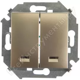 Двухклавишный выключатель Simon 1591392-034