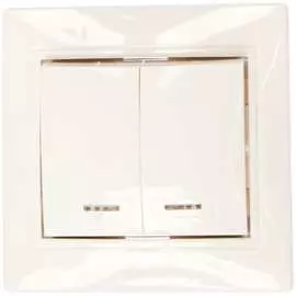 Двухклавишный выключатель Smartbuy Венера SBE-01w-10-SW2-1-c