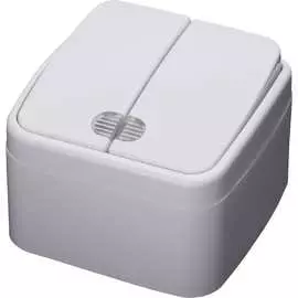 Двухклавишный выключатель STEKKER Basic PSW10-32-20 39030