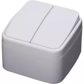 Двухклавишный выключатель STEKKER PSW10-42-20 Basic 39032