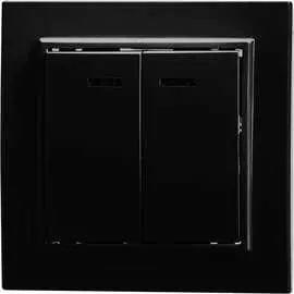 Двухклавишный выключатель STEKKER PSW10-9002-03 Эрна 39471