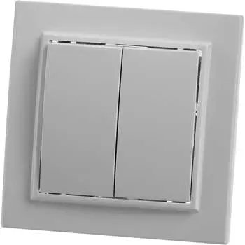 Двухклавишный выключатель STEKKER Эрна PSW10-9004-01 39044