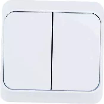 Двухклавишный выключатель Systeme Electric Этюд BA10-006B