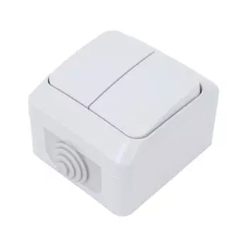 Двухклавишный выключатель Systeme Electric