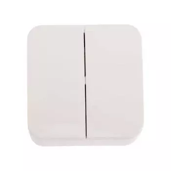 Двухклавишный выключатель Systeme Electric Blanca BLNVA065021