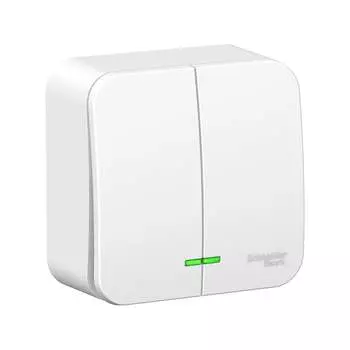 Двухклавишный выключатель Systeme Electric Blanca BLNVA065101