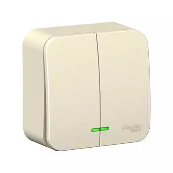 Двухклавишный выключатель Systeme Electric Blanca BLNVA065102