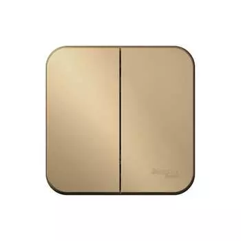 Двухклавишный выключатель Systeme Electric Blanca BLNVA105004