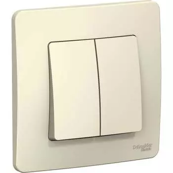 Двухклавишный выключатель Systeme Electric Blanca BLNVS006502
