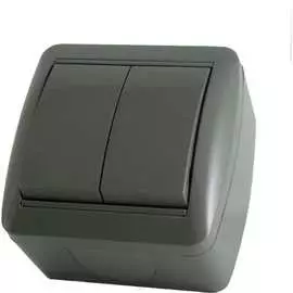 Двухклавишный выключатель TDM ELECTRIC Селигер SQ1818-0102