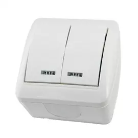 Двухклавишный выключатель TDM ELECTRIC Селигер SQ1818-0004