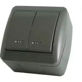 Двухклавишный выключатель TDM ELECTRIC Селигер SQ1818-0104