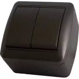 Двухклавишный выключатель TDM ELECTRIC Селигер SQ1818-0202