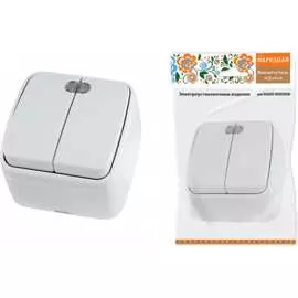 Двухклавишный выключатель TDM ELECTRIC Дача Народная SQ1824-0004