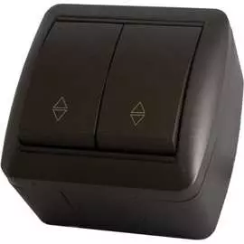 Двухклавишный выключатель TDM ELECTRIC Селигер SQ1818-0212