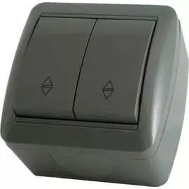 Двухклавишный выключатель TDM ELECTRIC Селигер SQ1818-0112