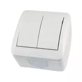 Двухклавишный выключатель TDM ELECTRIC Селигер SQ1818-0002