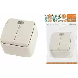 Двухклавишный выключатель TDM ELECTRIC Дача Народная SQ1824-0017