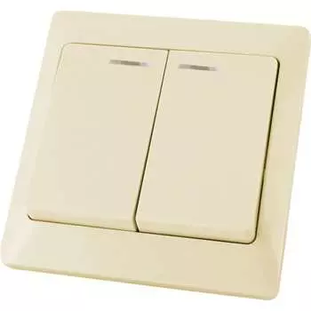 Двухклавишный выключатель TDM ELECTRIC Ильмень SQ1823-0104