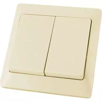 Двухклавишный выключатель TDM ELECTRIC Ильмень SQ1823-0102