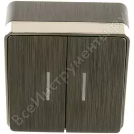 Двухклавишный выключатель WERKEL W5020104 a051340