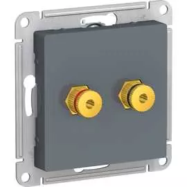Двухместная аудиорозетка Systeme Electric AtlasDesign ATN000787