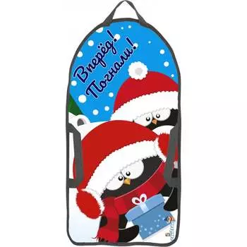 Двухместная ледянка-прямоугольник Fani&Sani