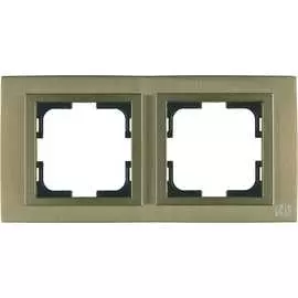 Двухместная рамка MONO ELECTRIC