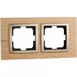 Двухместная рамка MONO ELECTRIC