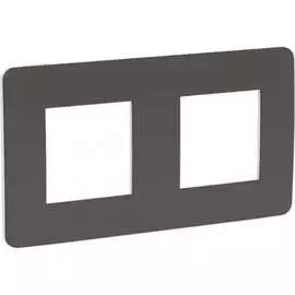 Двухместная рамка Schneider Electric