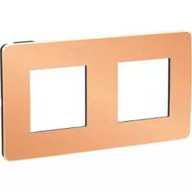 Двухместная рамка Schneider Electric