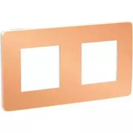 Двухместная рамка Schneider Electric