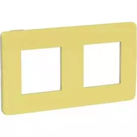Двухместная рамка Schneider Electric