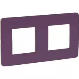 Двухместная рамка Schneider Electric