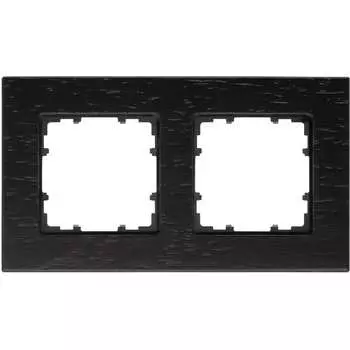 Двухместная рамка Siemens