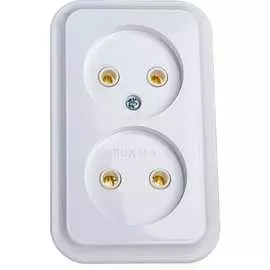 Двухместная розетка BYLECTRICA Прочие изделия РА16-238
